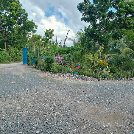 Happy Bear Villa Moalboal Exterior photo